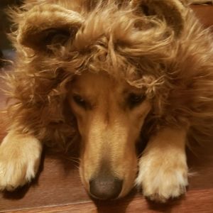 Meet your Posher, Edith